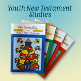 Youth New Testament Studies